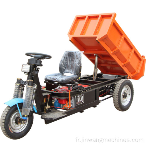 Tricycle électrique à trois roues 1000W pour mines